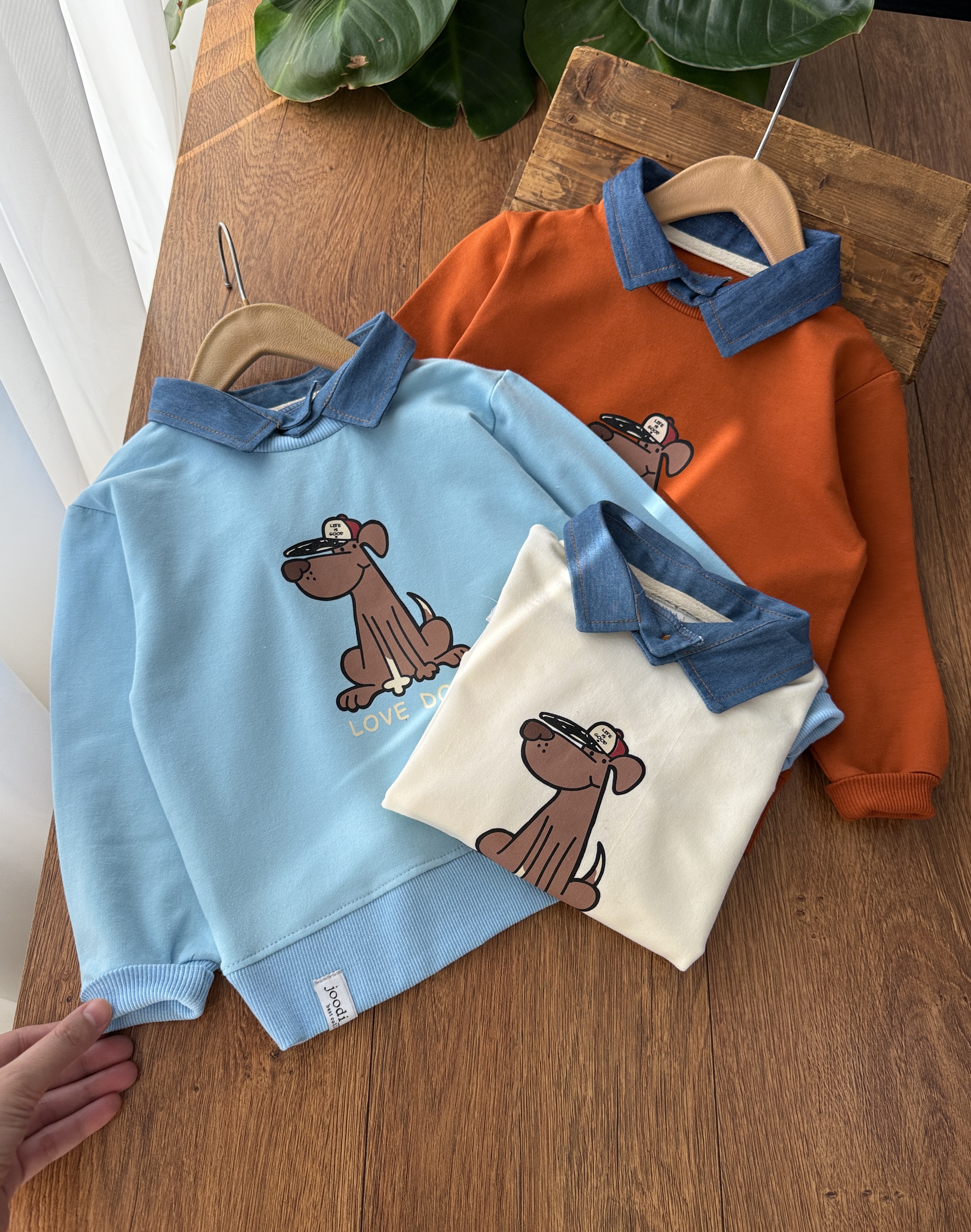 DOGS