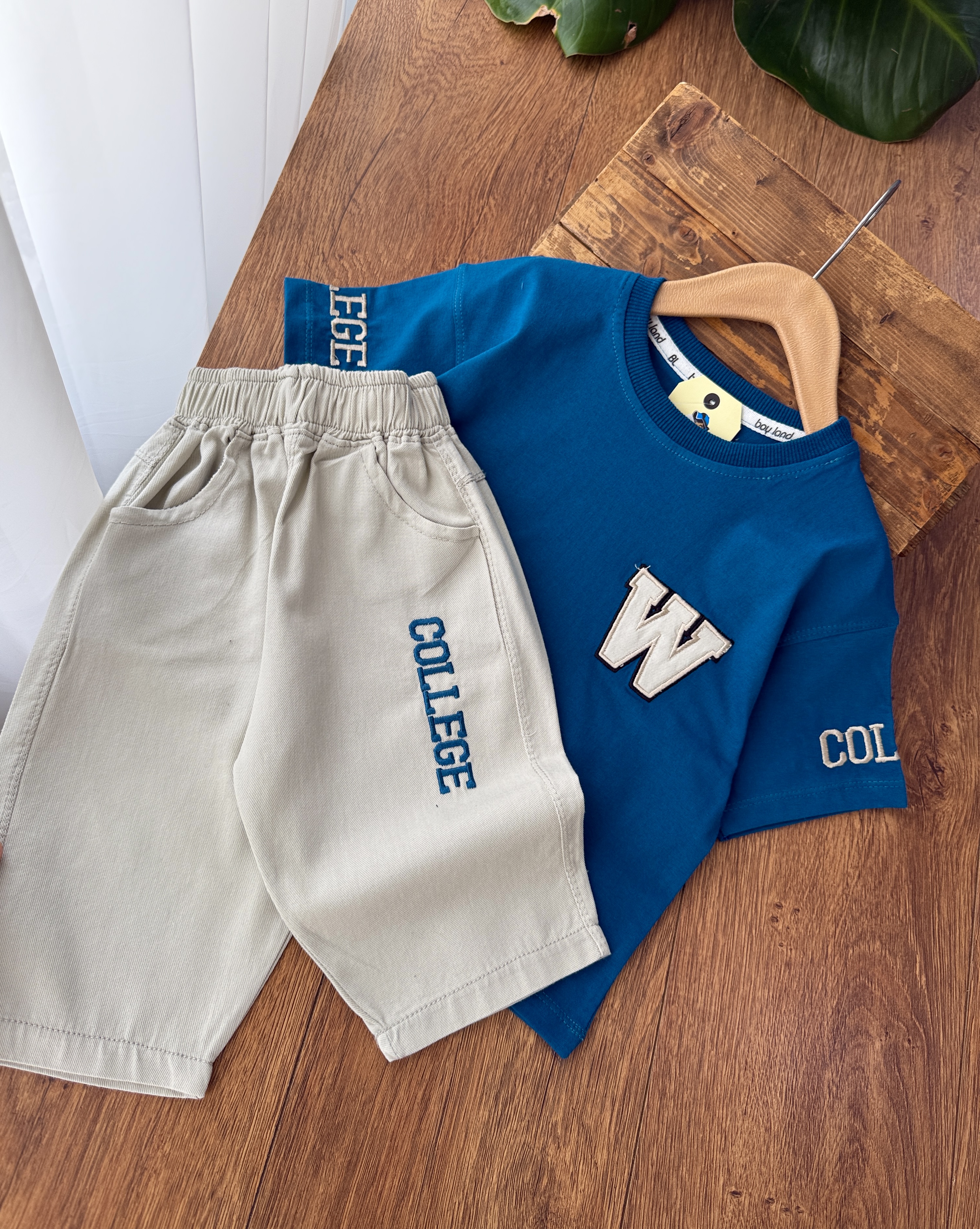 college50-55