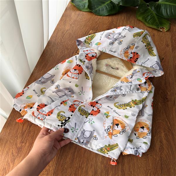  ببری