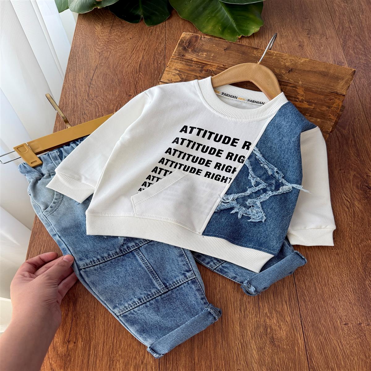 Attitude 