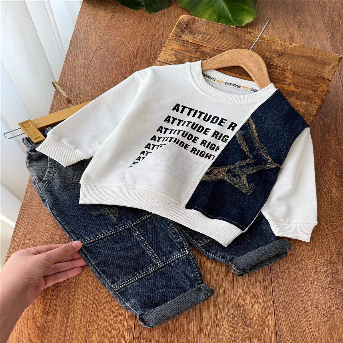 Attitude 