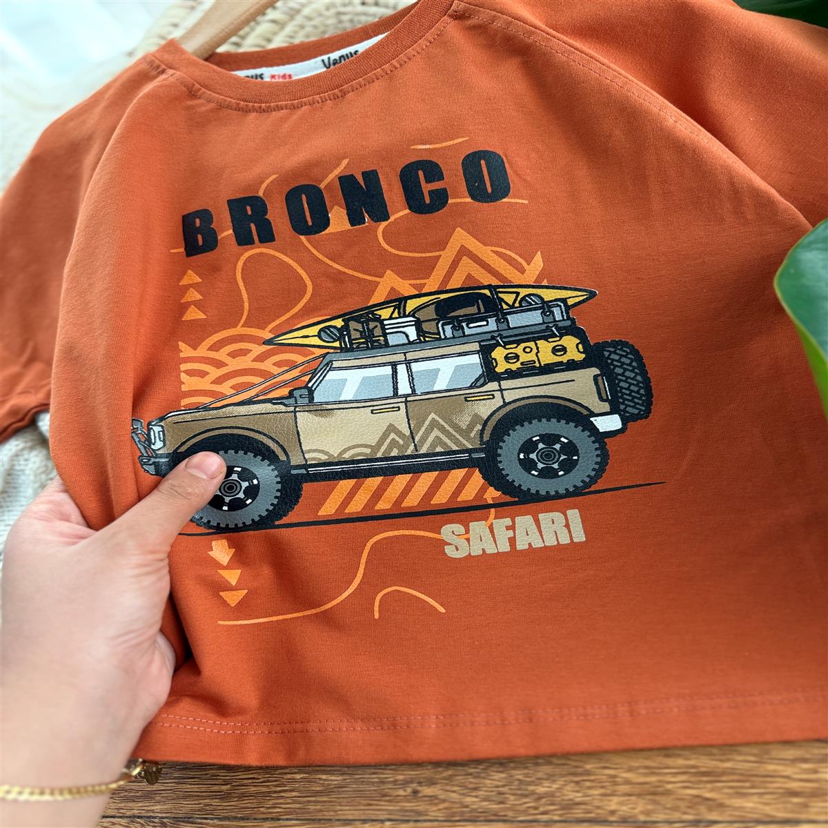 Safari