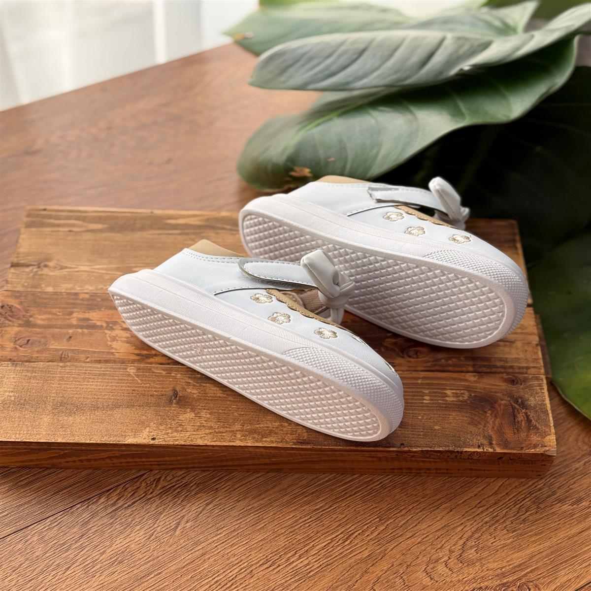 بابونه۲۶-۳۱