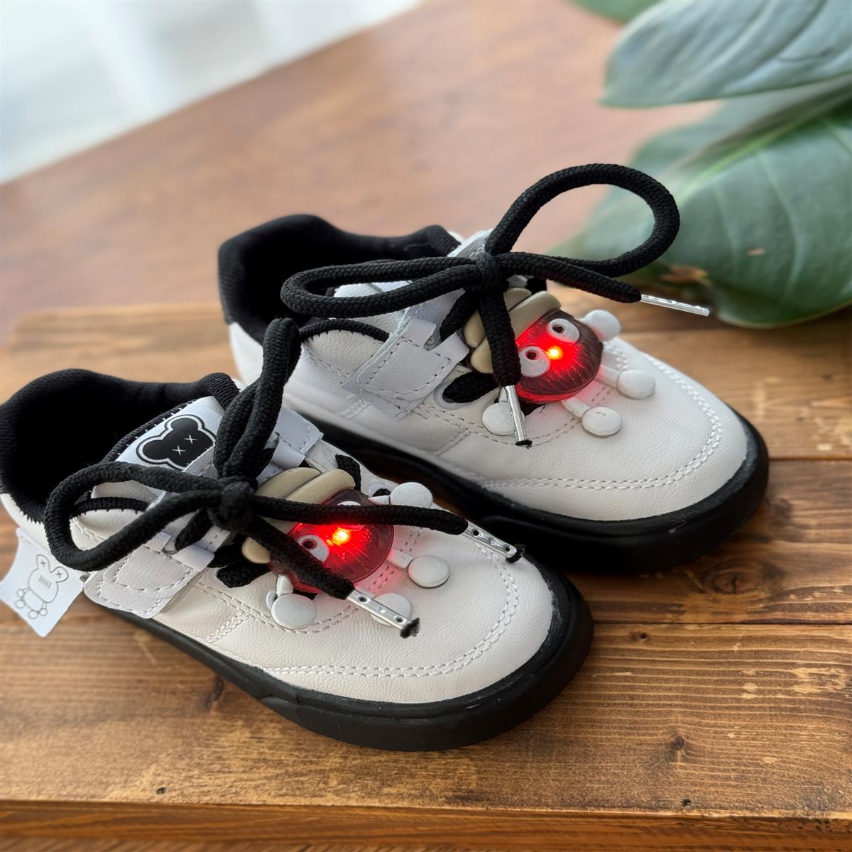 قورباغه۲۲-۳۱